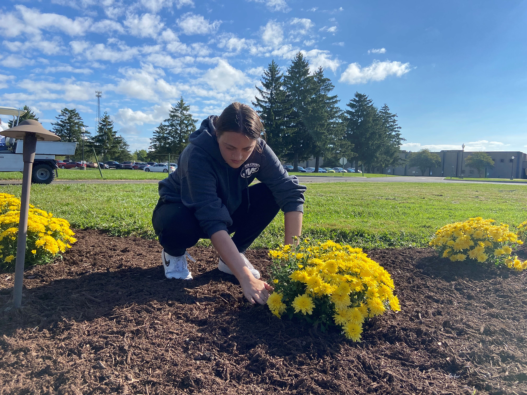 female student plants yellow mums at memorial